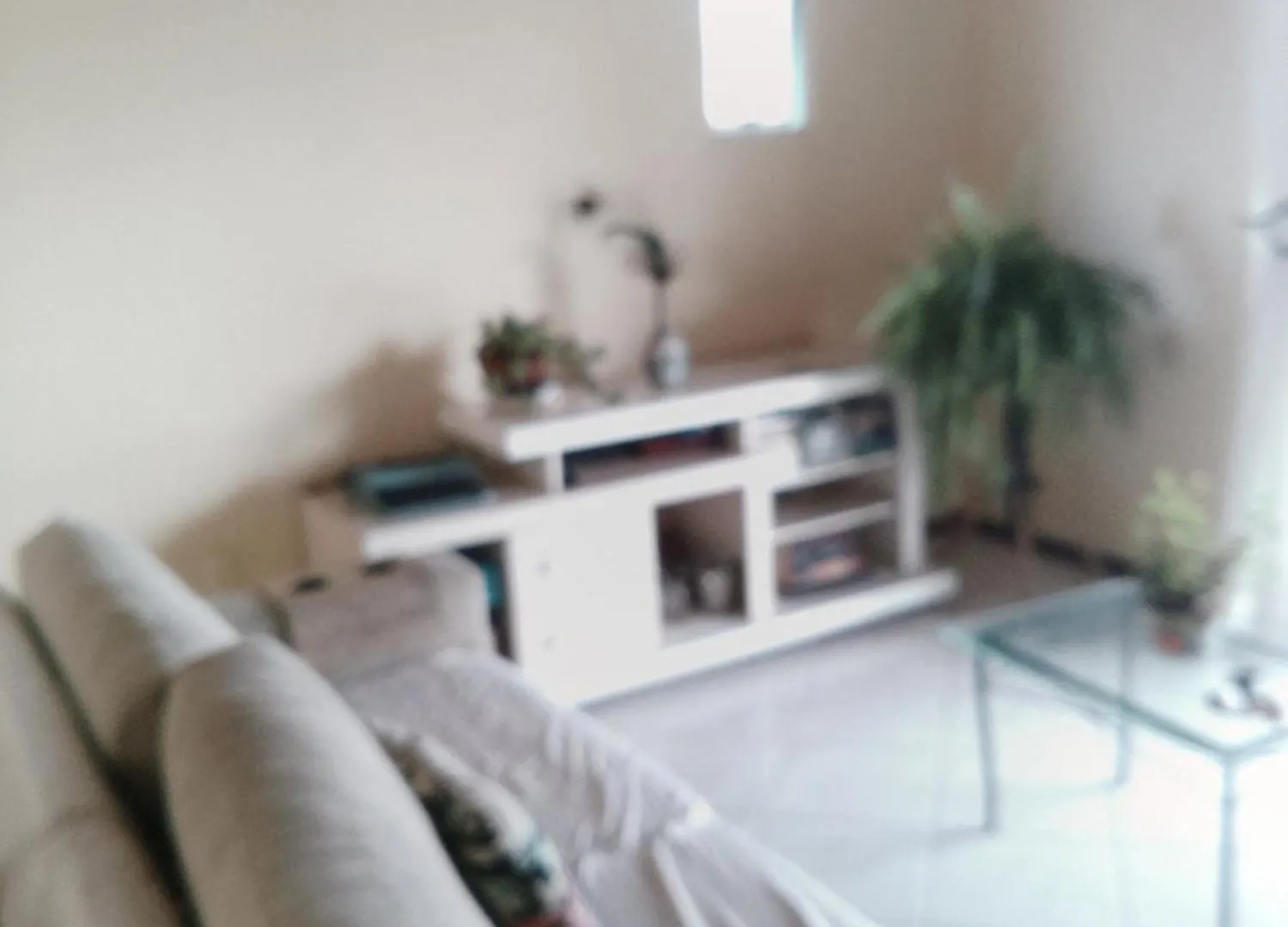 Apartamento Casa Da Rosa E Do Junior Florianópolis 0*,